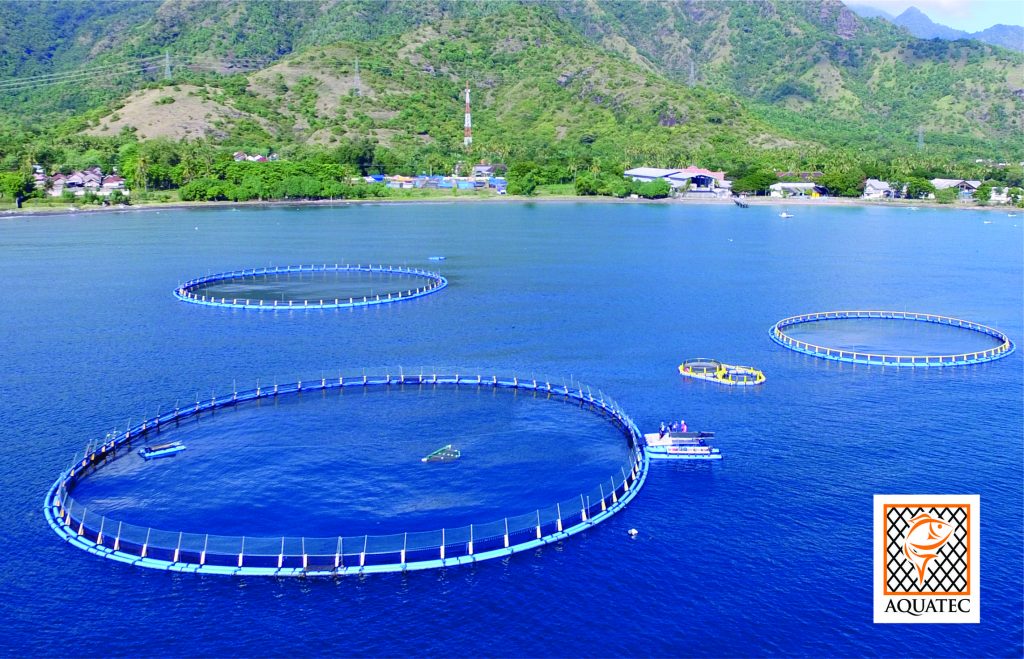 Aquaculture Seabass, Sea Bream Farming Floating Net Cage - China Net Cage,  Floating Cage
