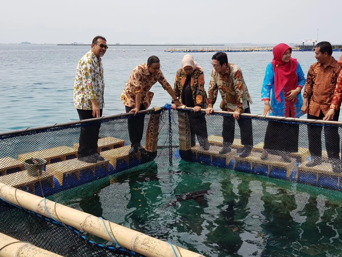 Budidaya Rumput Laut Modern yang Ramah Lingkungan — Aquatec Indonesia