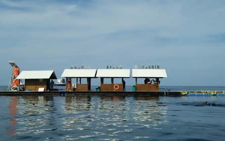 Bangsring Banyuwangi penghargaan UNWTO — Aquatec Indonesia