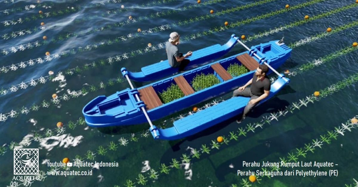 Perahu Jukung rumput laut — Aquatec Indonesia